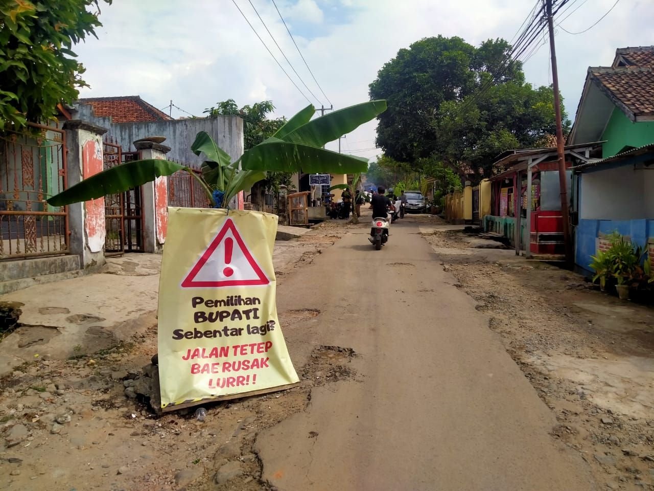 Bangun Jalan Putus Nyambung, Warga Majasari Pandeglang Tanam Pohon Pisang: Tetep Bae Rusak Lur!