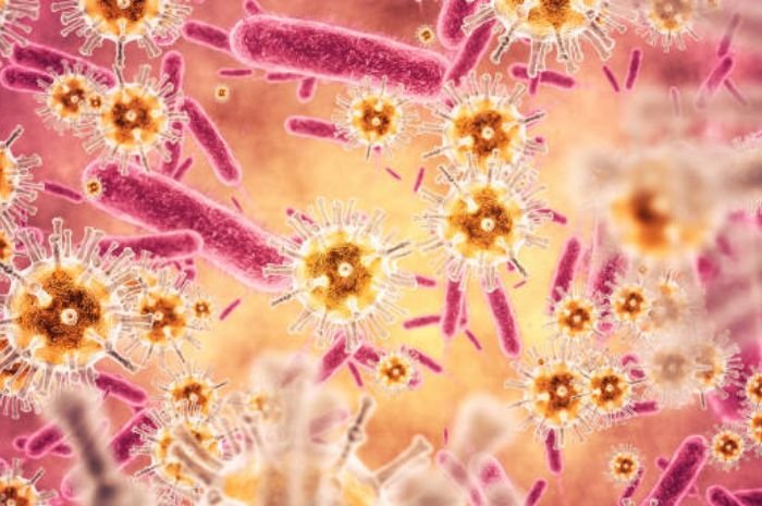 Apa Itu West Nile? Virus yang Menyerang Daratan Israel