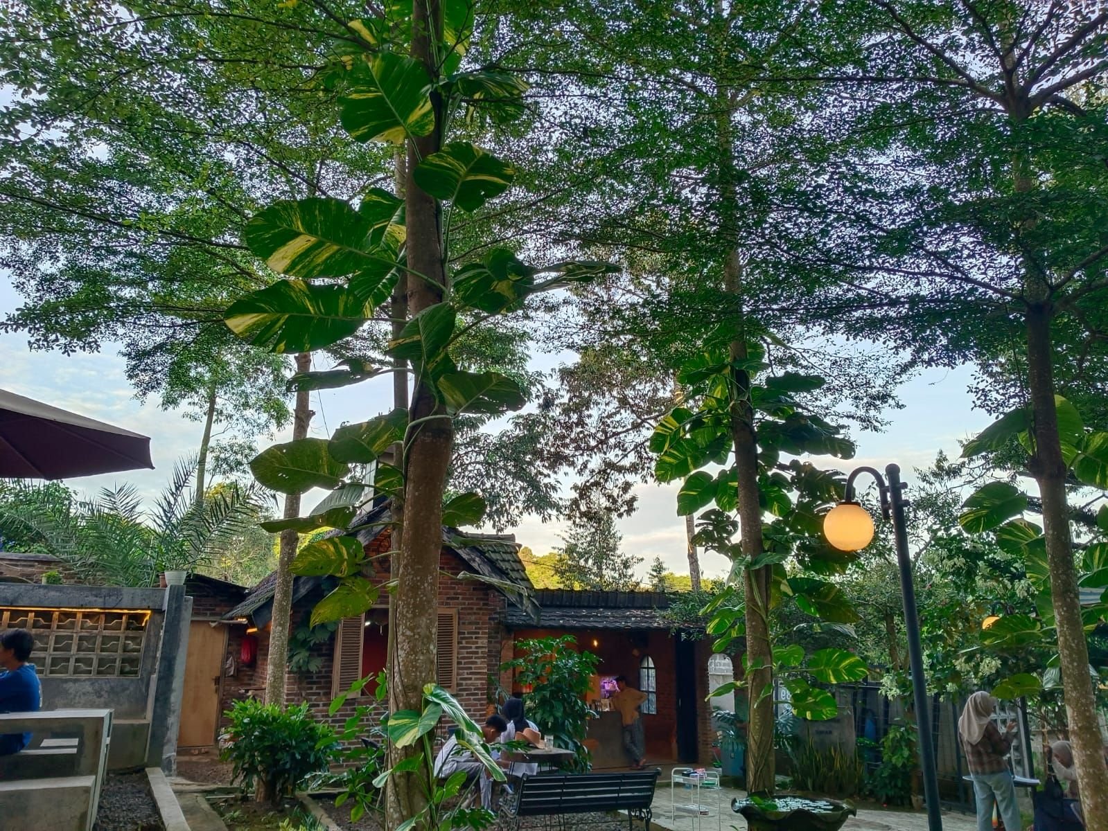 89 Coffee Sayar, Kafe Unik di Tengah Hutan Kota Serang: Rekomended Buat Anak Nongkrong 3 89 Coffee Sayar, Kafe Unik di Tengah Hutan Kota Serang: Rekomended Buat Anak Nongkrong