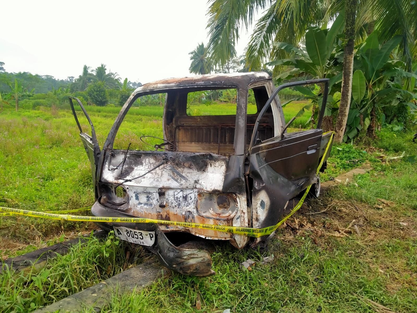 Warga Jiput Gagalkan Pencurian Kerbau, Dua Pelaku Kabur dan Mobil Pengangkut Dibakar