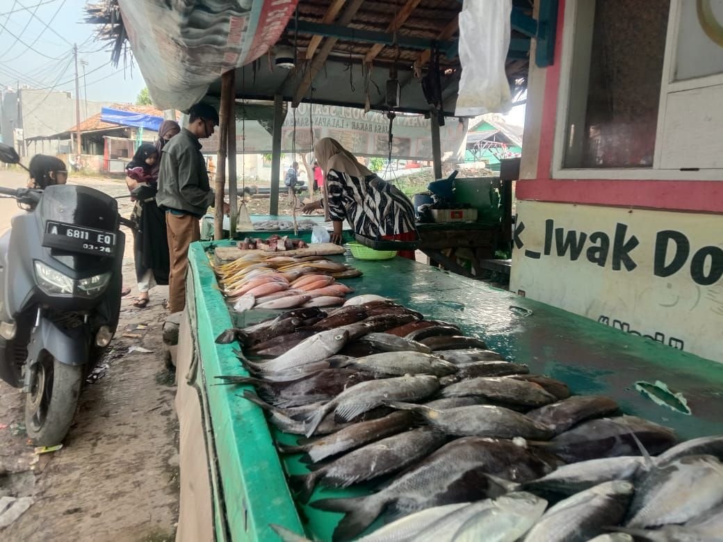 Hasil Tangkapan Melimpah, Pedagang Ikan di Anyer Keluhkan Sepi Pembeli