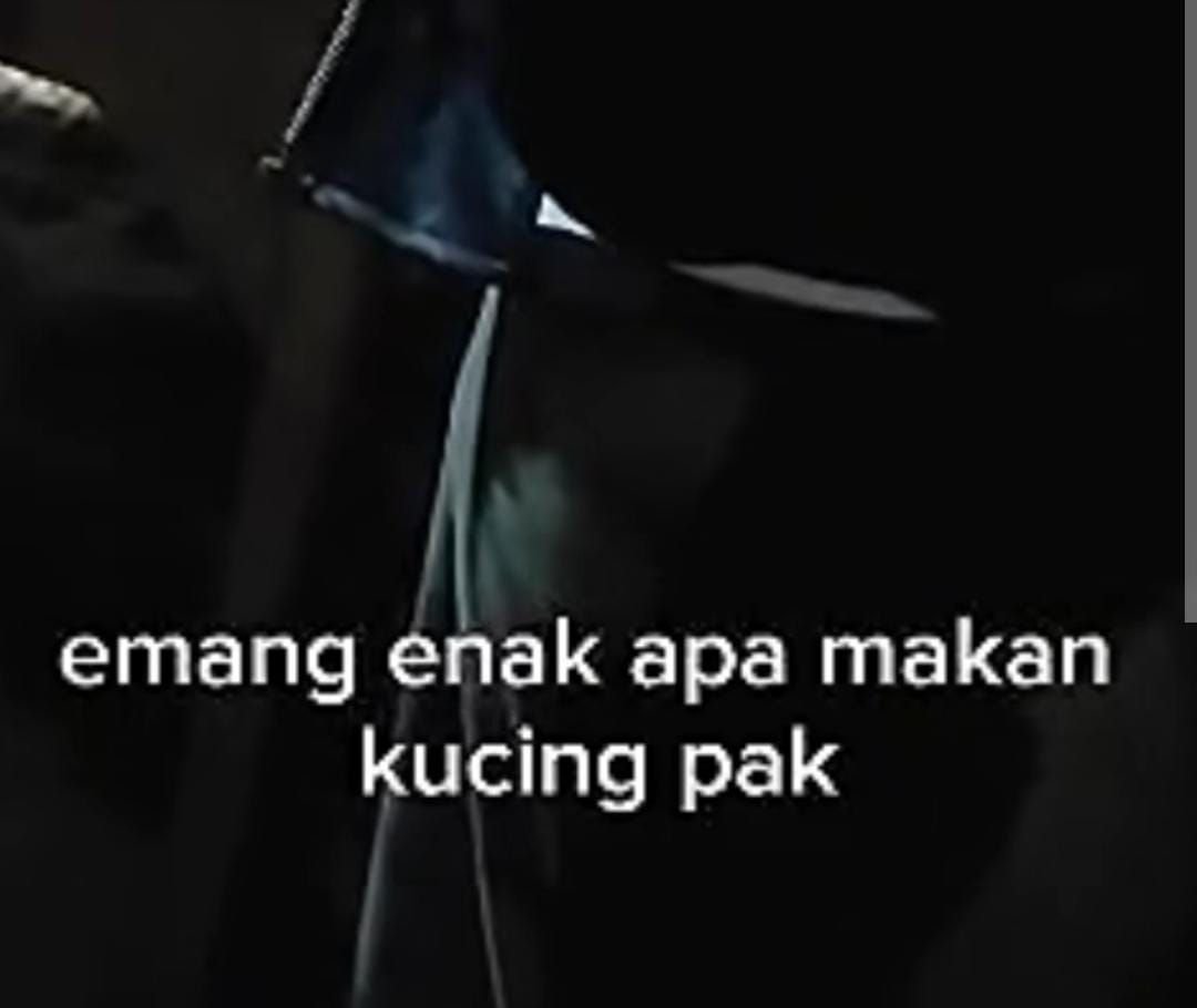 Viral, Pria Lansia di Gunungpati Semarang Makan Daging Kucing dengan Alasan Obati Penyakit Ini 5 Viral, Pria Lansia di Gunungpati Semarang Makan Daging Kucing dengan Alasan Obati Penyakit Ini