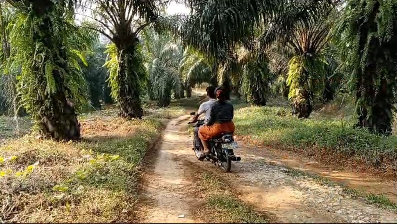 Rusak Bertahun-Tahun, Warga Jayamanik Lebak Ancam Blokade Jalan di Kawasan PTPN