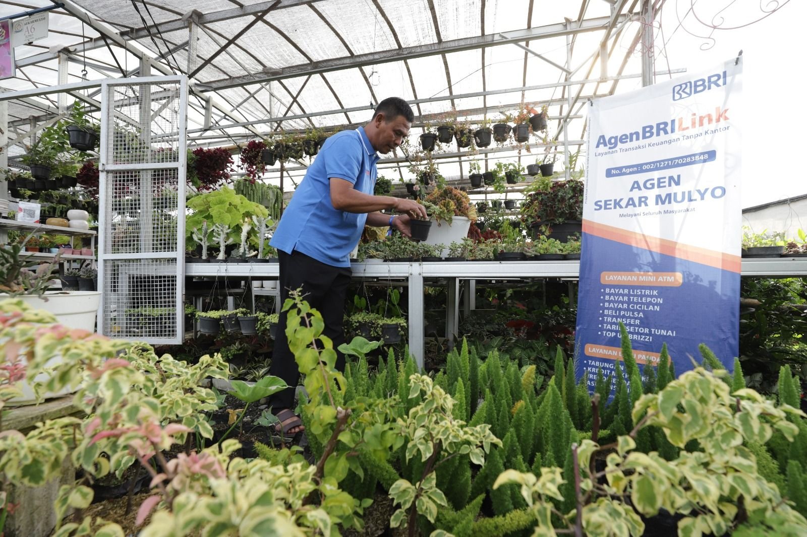 Milestone Sejarah Inklusi Keuangan di Indonesia, Jumlah AgenBRILink Tembus 1 Juta