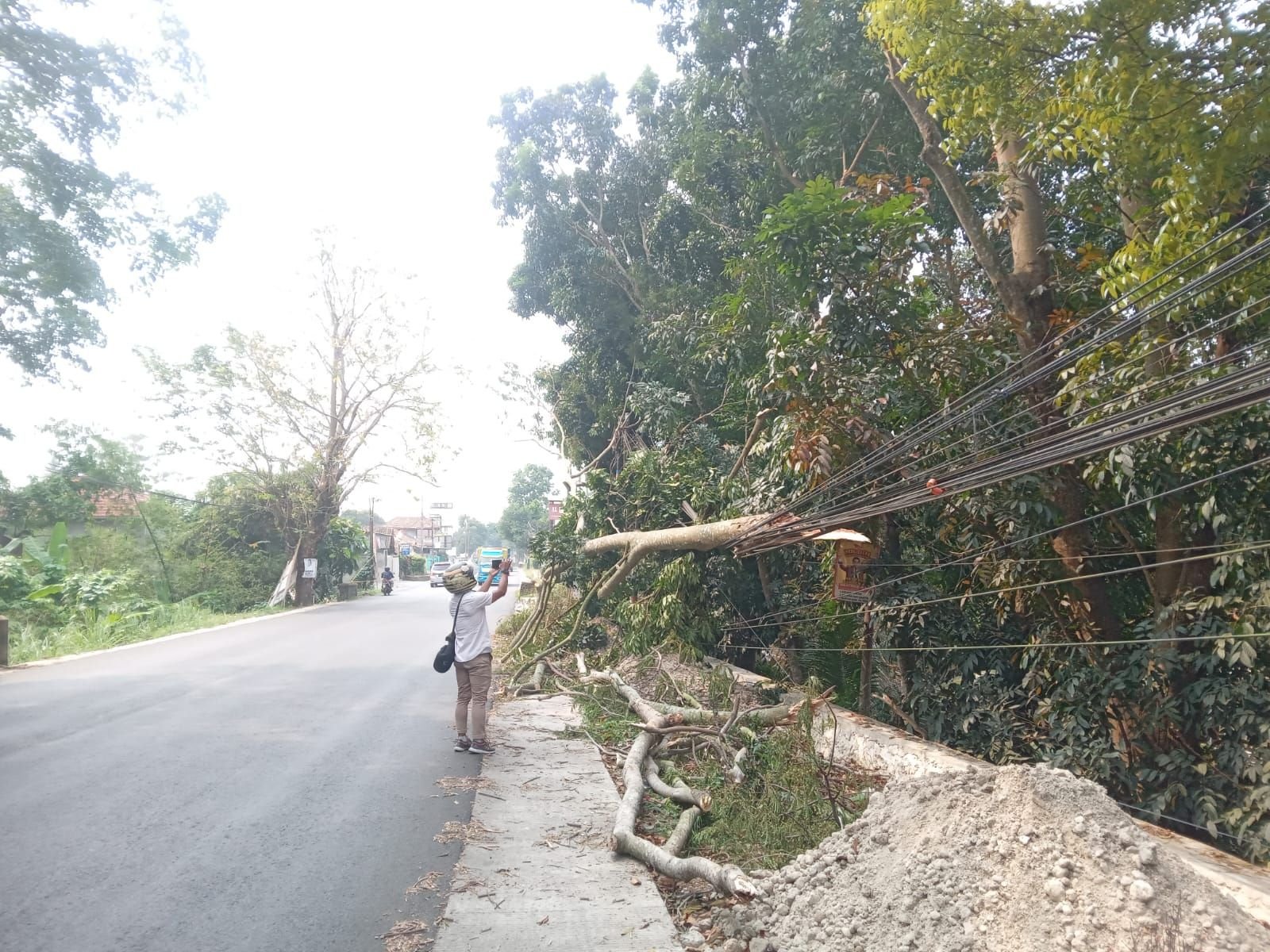 Pohon Menimpa Kabel Optik Dibiarkan, Keselamatan Pengendara di Jalan Serang-Pandeglang Dipertaruhkan 1 Pohon Menimpa Kabel Optik Dibiarkan, Keselamatan Pengendara di Jalan Serang-Pandeglang Dipertaruhkan