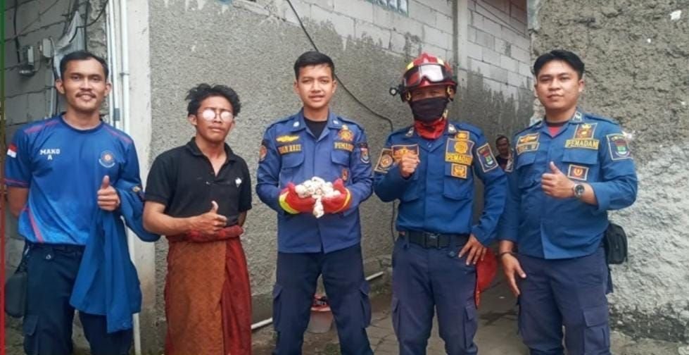 BIKIN MERINDING! Warga Cikupa Tangerang Temukan Belasan Butir Telur Ular Kobra di Kamar Mandi 5 BIKIN MERINDING! Warga Cikupa Tangerang Temukan Belasan Butir Telur Ular Kobra di Kamar Mandi