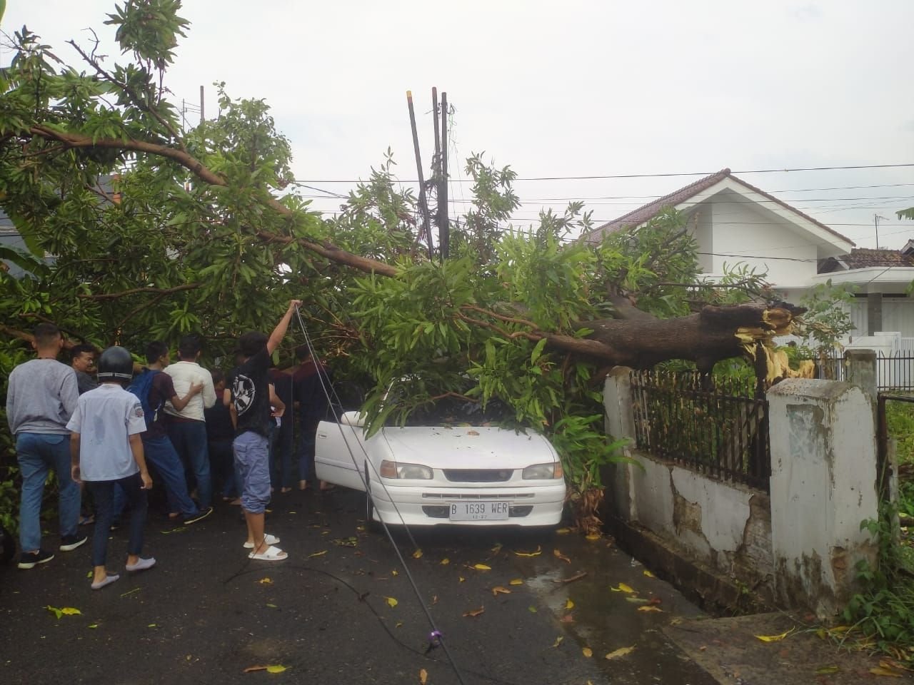 Cuaca Ekstrem Terjang Kota Serang, Pohon Tumbang Timpa Mobil dan Rumah Warga