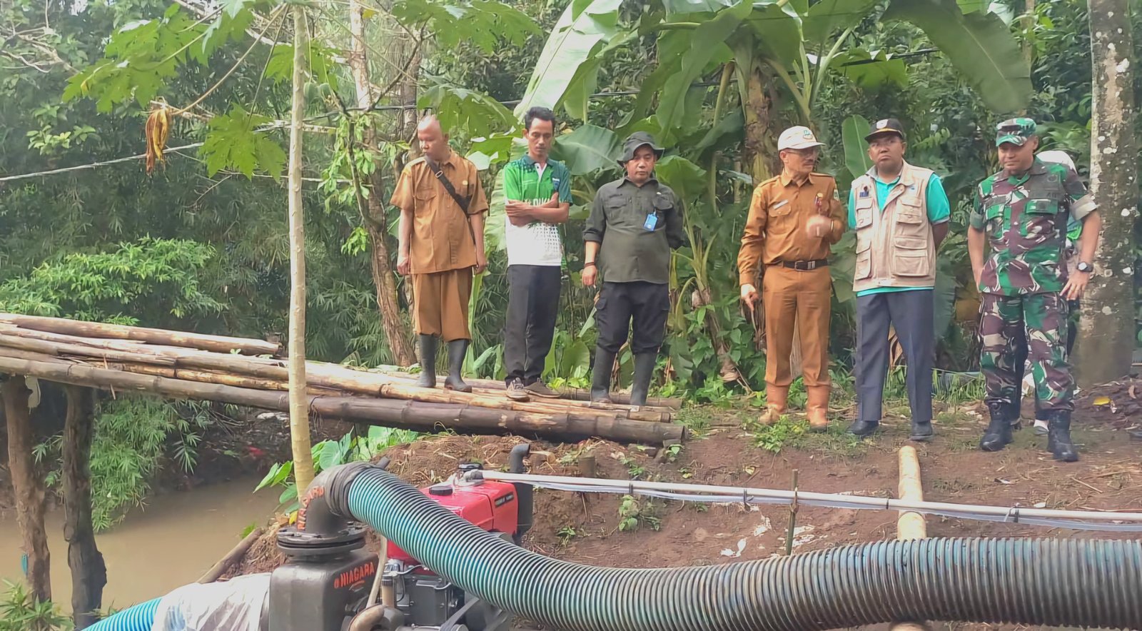 Pompanisasi Pertanian, Produksi Padi di Banten Ditarget Capai 1,7 Juta Ton 9 Pompanisasi Pertanian, Produksi Padi di Banten Ditarget Capai 1,7 Juta Ton