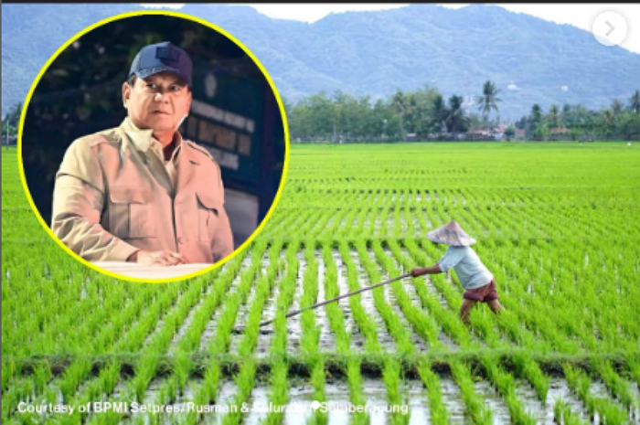 Tak Mau Impor Beras, Prabowo Subianto Siap Wujudkan Swasembada Pangan: Rp15 Triliun untuk Cetak Sawah Baru