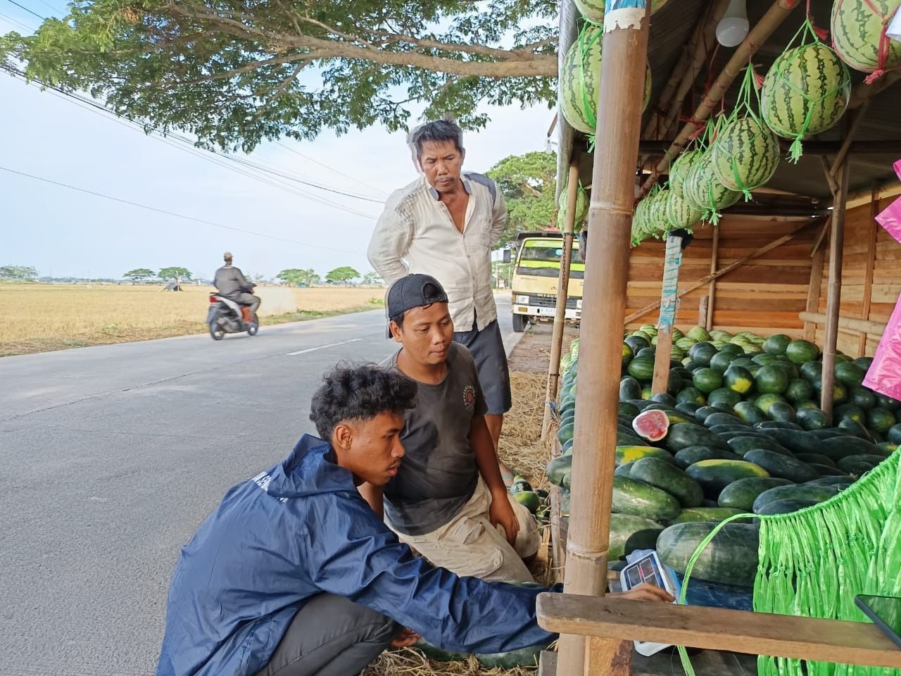 Stok Melimpah, Penjual Semangka di Pontang Untung Besar Raup Jutaan Rupiah