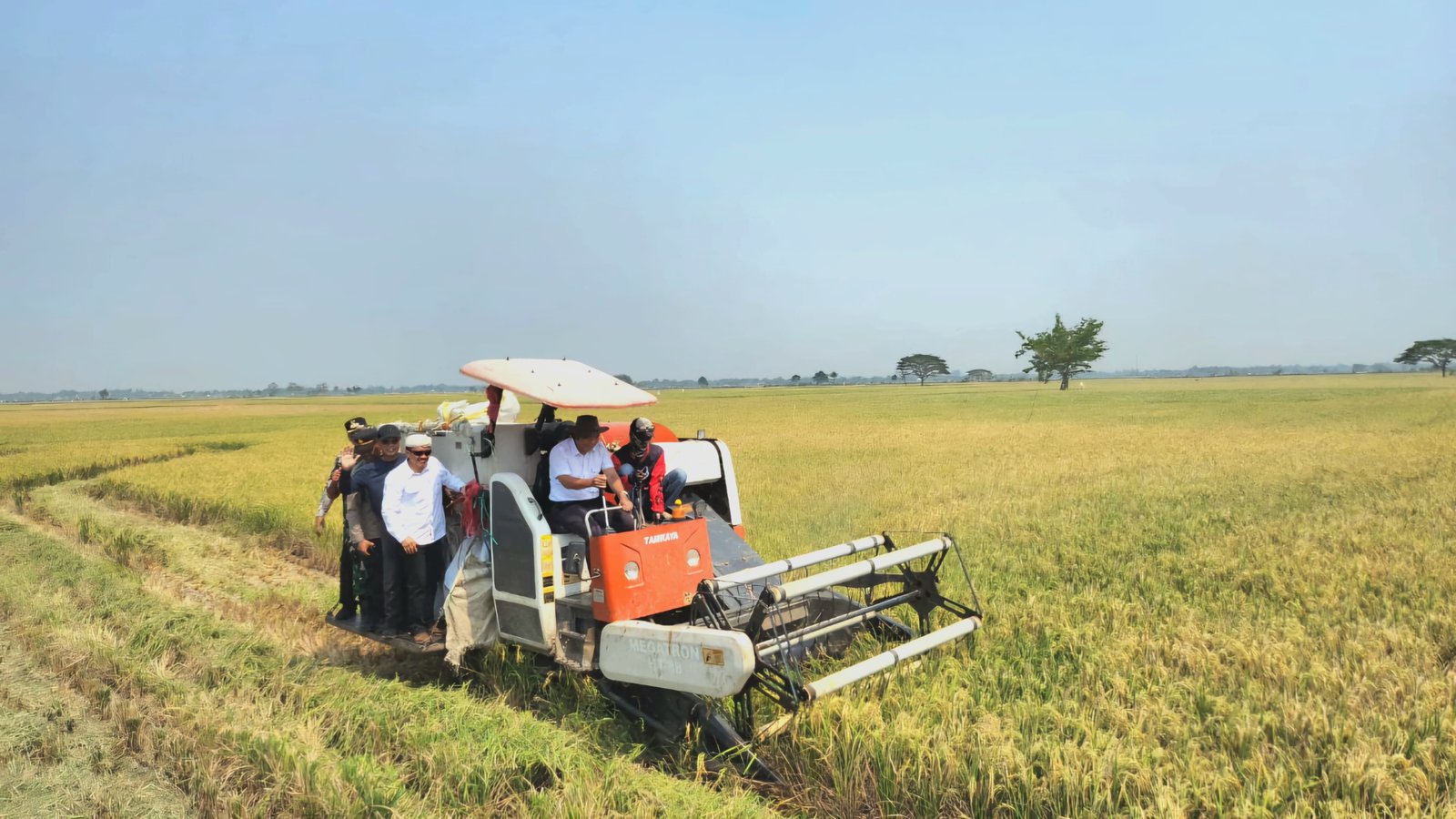 Produksi Padi 2024 menurun, Distan Sebut Efek El Nino Penyebabnya