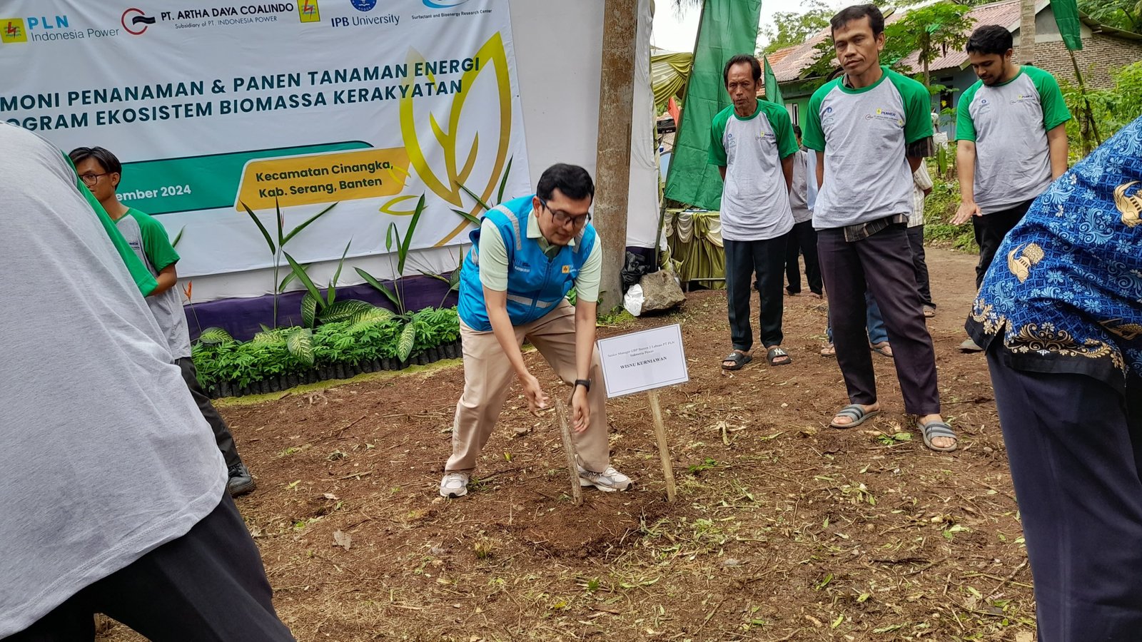 IPB dan PLN Tanam Ribuan Pohon di Cinangka untuk Biomassa dan Penghasilan Petani