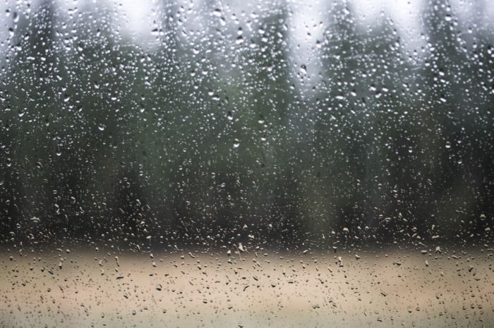 Masuk Puncak Musim Hujan, BMKG Peringatkan Cuaca Ekstrem Bisa Terjadi hingga Sepekan ke Depan 1 Masuk Puncak Musim Hujan, BMKG Peringatkan Cuaca Ekstrem Bisa Terjadi hingga Sepekan ke Depan