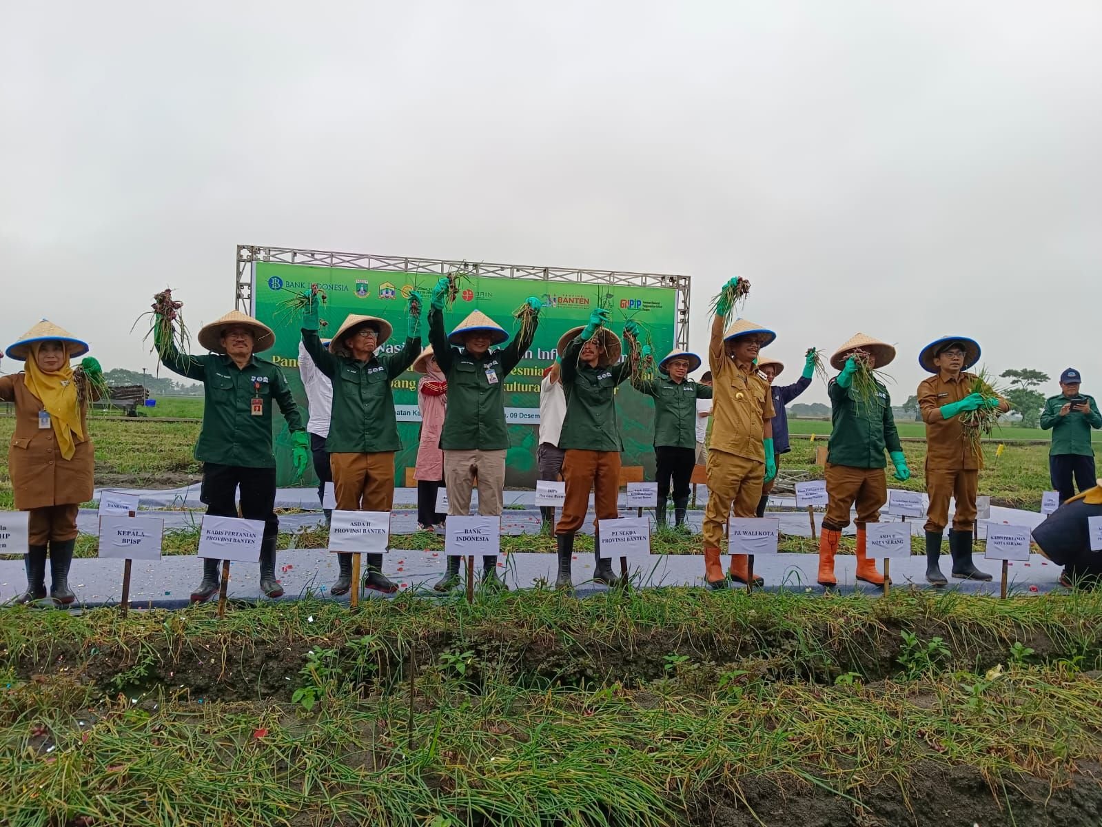 Program Sekolah Lapang Pertanian Holtikultura di Sawah Luhur Panen 13,5 Ton Bawang Merah