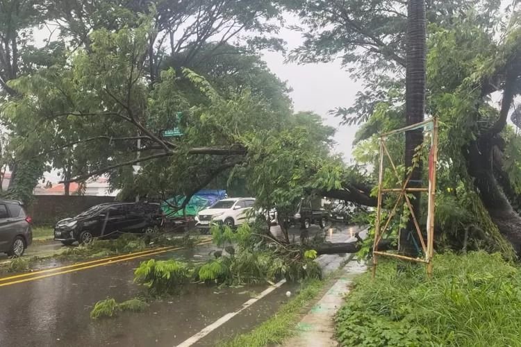 Warga Diminta Tetap Waspada, BBMKG Prediksi Cuaca Ekstrem Kembali Terjang Banten di Periode Nataru