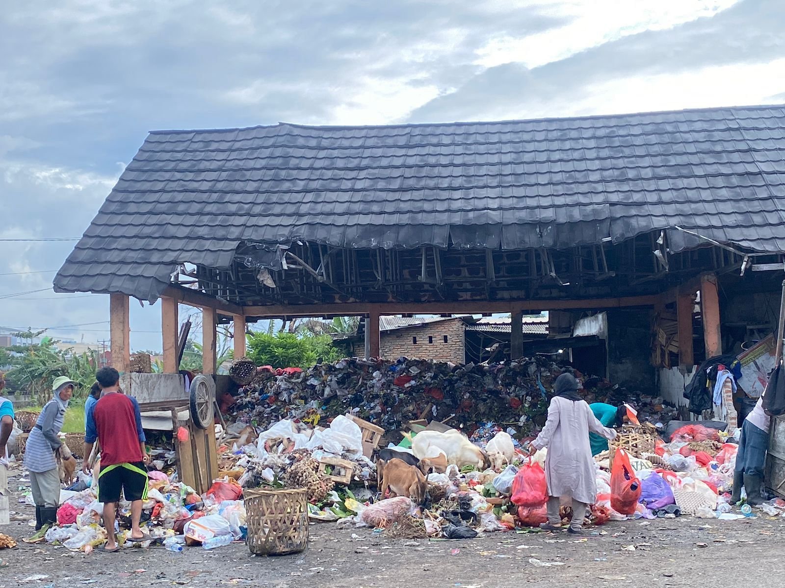 Bisa Hasilkan Uang dari Pilah Sampah, Aplikasi Prohil Bakal Dirilis DLH Cilegon Tahun Depan