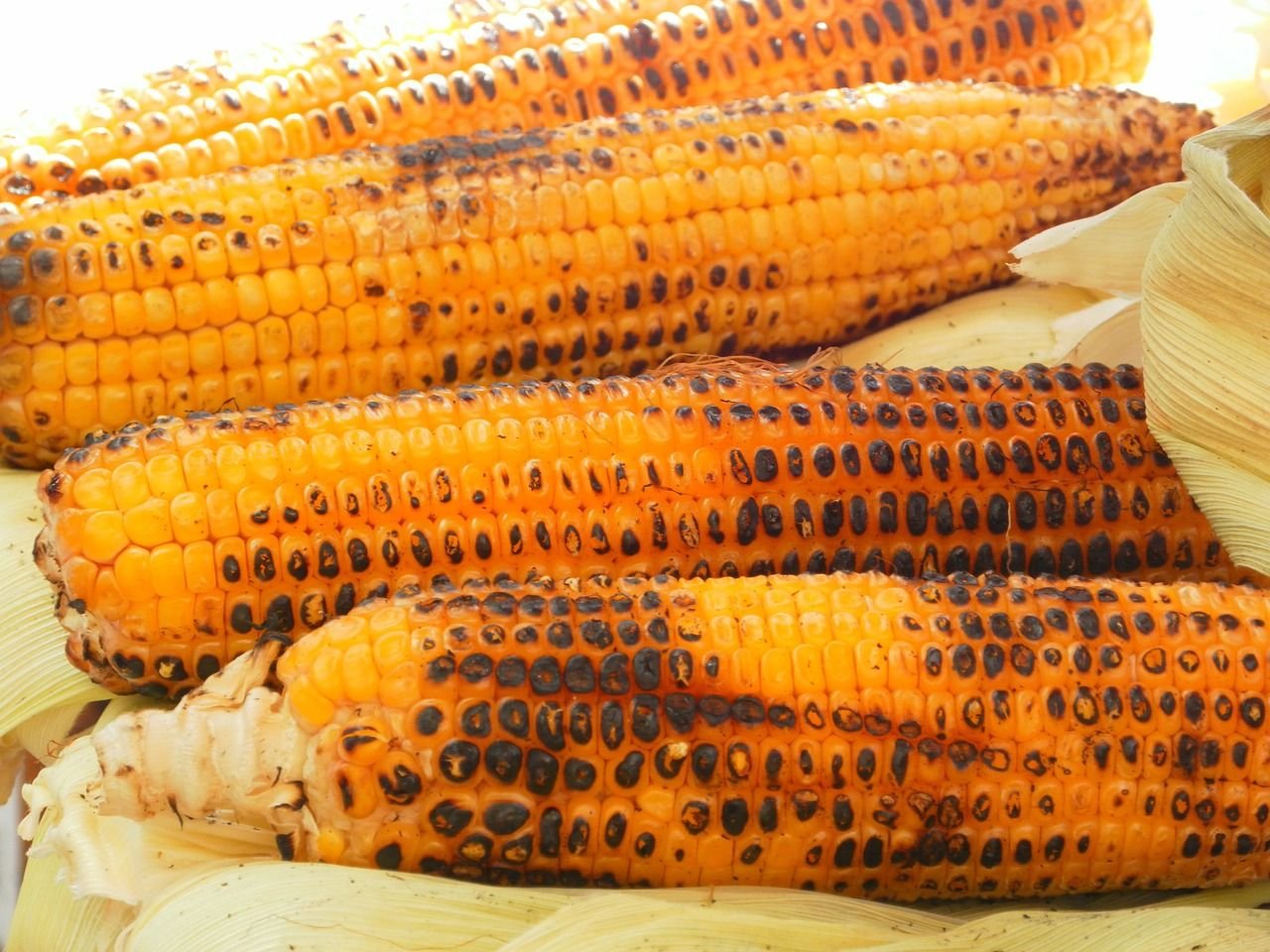 7 Resep Bumbu Oles Jagung Bakar, Malam Tahun Baru 2025 Makin Seru 1 7 Resep Bumbu Oles Jagung Bakar, Malam Tahun Baru 2025 Makin Seru