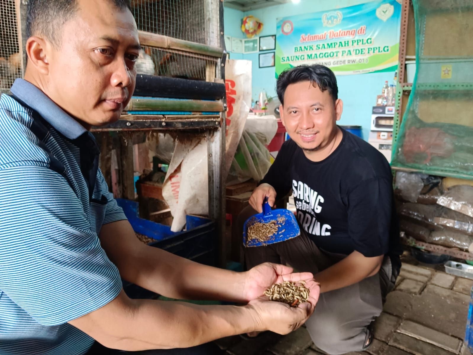 Budidaya Maggot, Dua Warga Kota Serang Kantongi Belasan Juta Rupiah Per Bulan