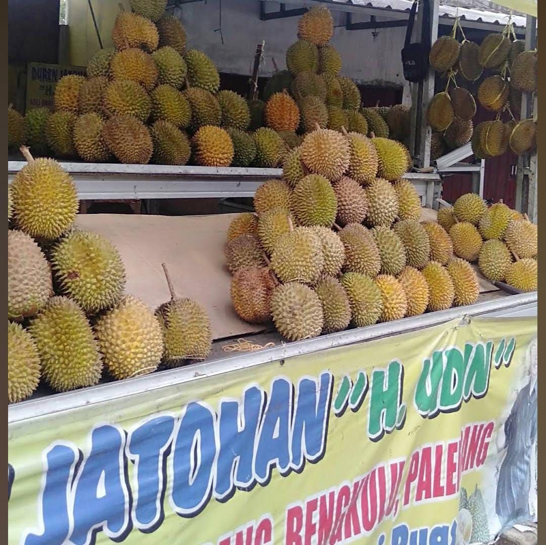 Durian Jatohan H Udin, Tempat Makan Duren Lezat di Kota Serang Banten yang Bikin Mau Balik Lagi dan Lagi