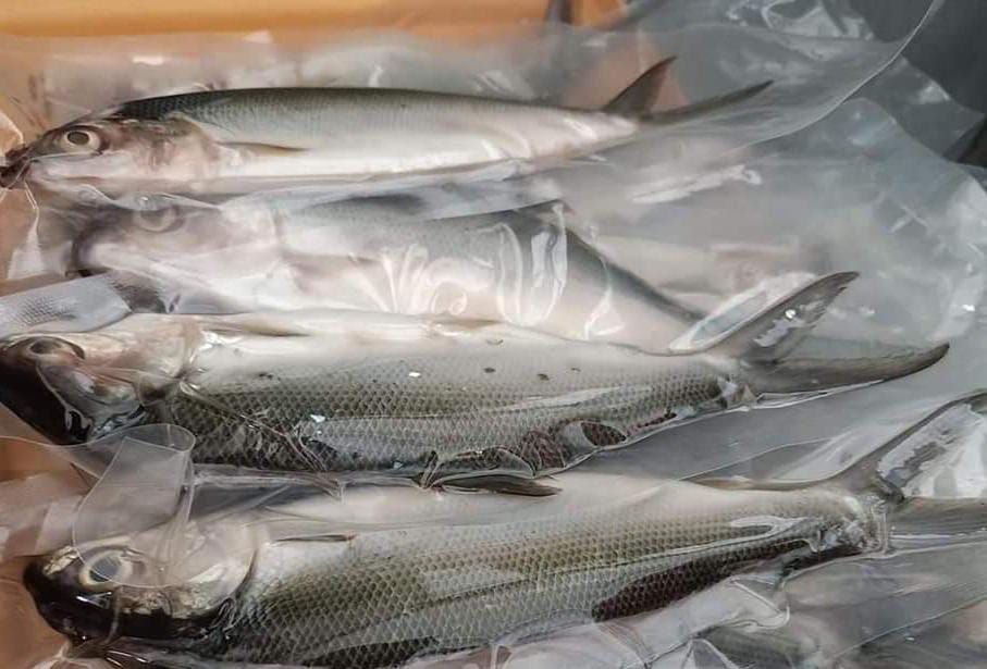 Imlek di Depan Mata, Penjualan Sate dan Ikan Bandeng di Kota Serang Melejit, Sehari Habis Ratusan Kilogram 1 Imlek di Depan Mata, Penjualan Sate dan Ikan Bandeng di Kota Serang Melejit, Sehari Habis Ratusan Kilogram