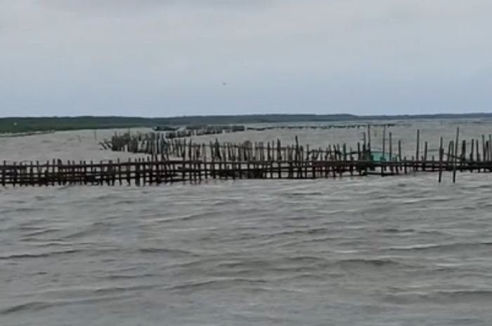 Pagar Laut Juga Ada di Tanara Kabupaten Serang, Panjangnya Sampai 3 KM Dibangun Orang-orang Misterius