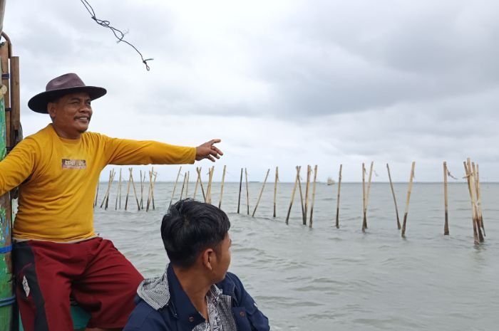 Lapor Bu Titiek! Pagar Laut juga ada di Kabupaten Serang Nih, Para Nelayan Menjerit 6 Lapor Bu Titiek! Pagar Laut juga ada di Kabupaten Serang Nih, Para Nelayan Menjerit