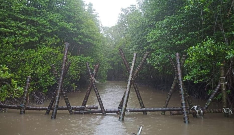 Lindungi Badak Jawa dari Pemburu Liar, TNUK Tutup Akses Sungai Semenanjung