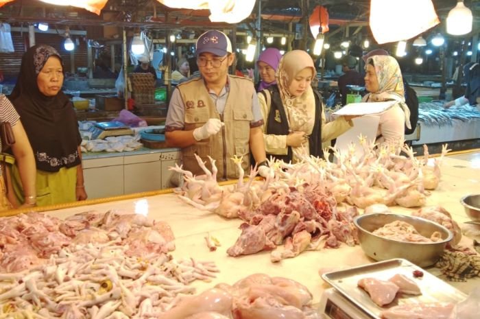 Periksa Makanan Keliling Kota Serang, Petugas Gabungan Temukan Ayam Mengandung Pengawet Mayat 1 Periksa Makanan Keliling Kota Serang, Petugas Gabungan Temukan Ayam Mengandung Pengawet Mayat