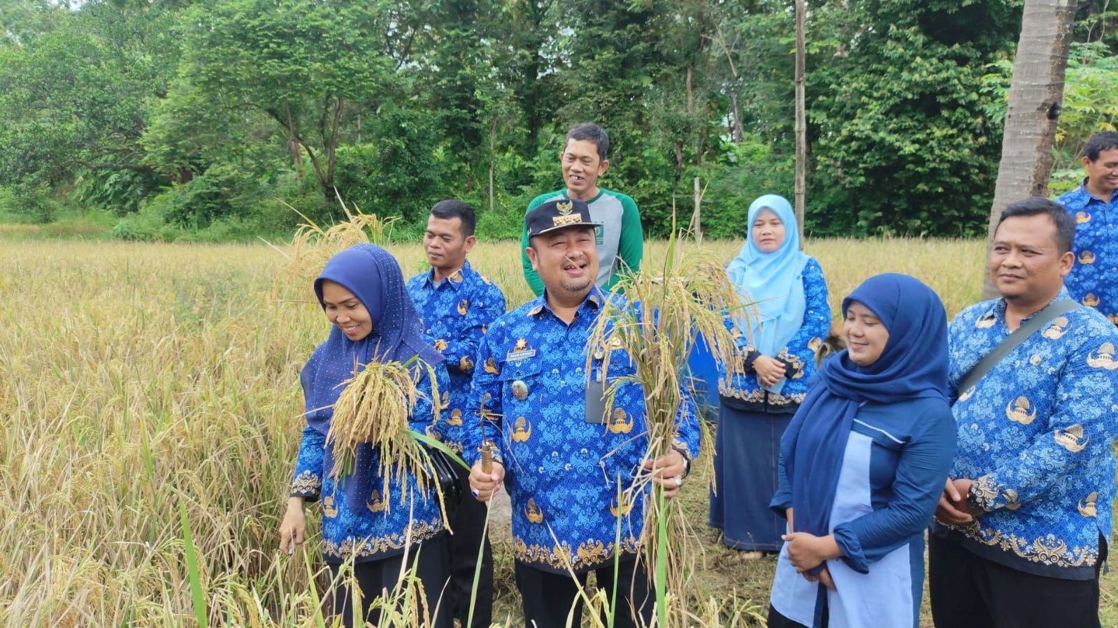 Dukung Swasembada Pangan, Camat Ciwandan Panen Padi Bareng Gapoktan Kubang Tani 1