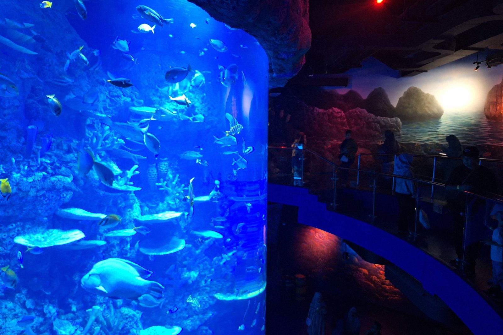 BXSea Jadi Wisata Akuarium Terbesar di Banten, Miliki Koleksi Lebih dari 140 Biota Laut