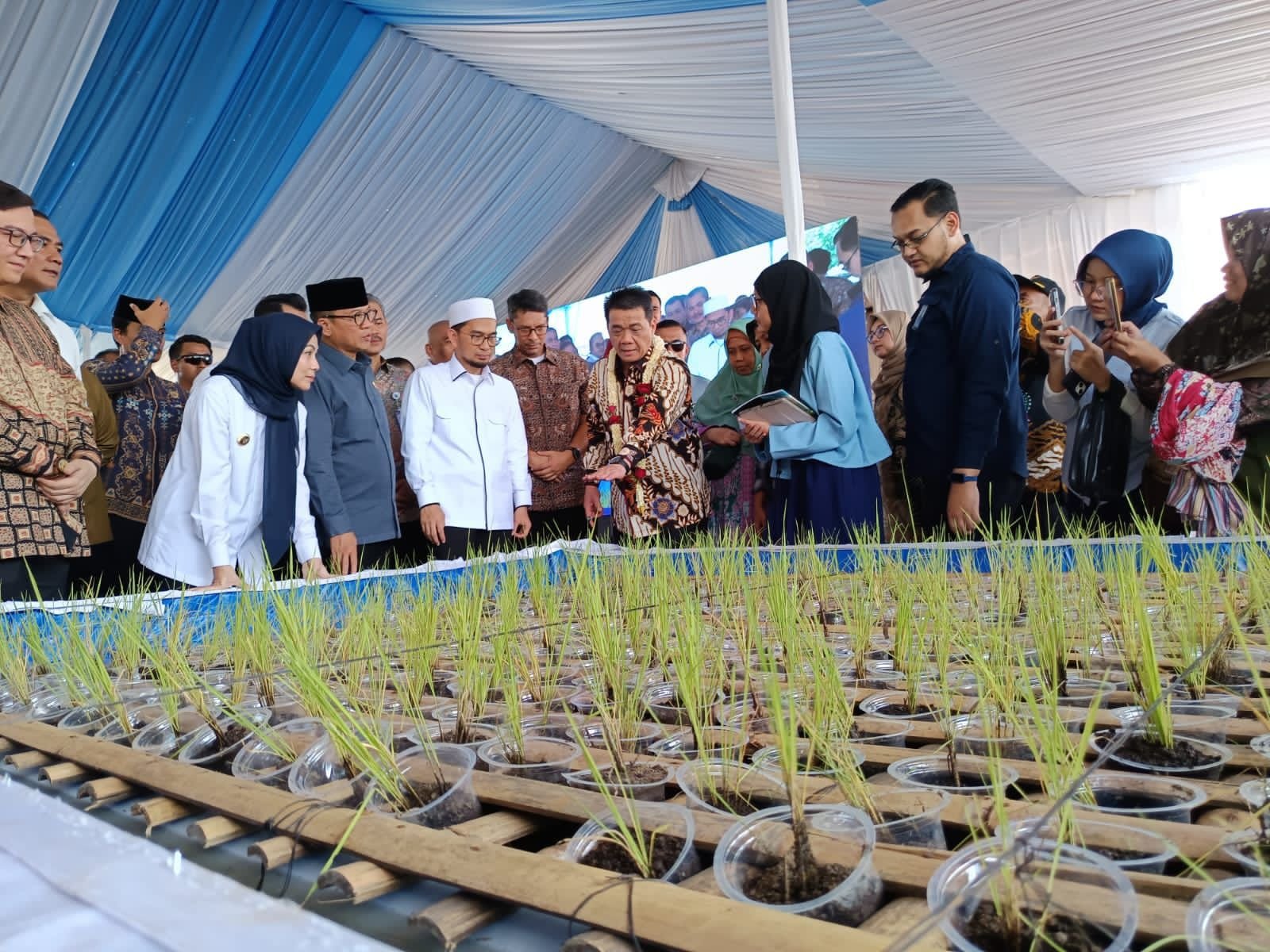 Ustadz Adi Hidayat dan Mendes PDTT Luncurkan Si Opung, Solusi Padi Terapung untuk Desa