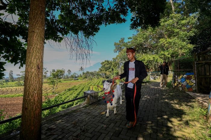 Bapekis dan Karyawan BRI Berbagi, Tebar 961 Hewan Kurban untuk Masyarakat di Momen Idul Adha 1 Bapekis dan Karyawan BRI Berbagi, Tebar 961 Hewan Kurban untuk Masyarakat di Momen Idul Adha