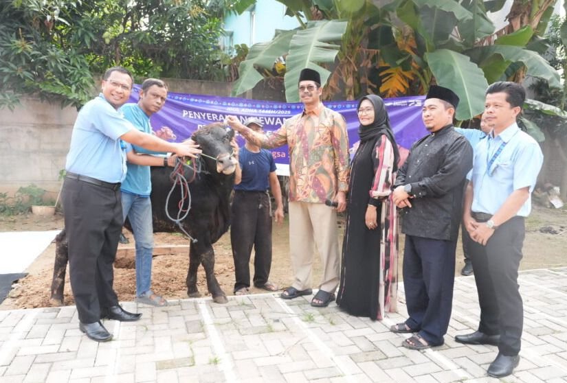 SIT Bina Bangsa Gelar Penyembelihan Hewan Kurban