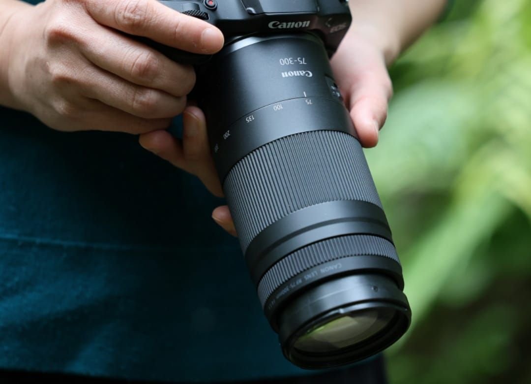 Canon Rilis Lensa RF75-300mm Terbaru, Fotografer Pemula Bisa Auto Terlihat Jadi Seperti Pro