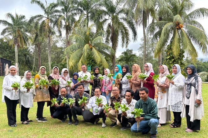 Lahan Makin Sempit, Warga Randakari Cilegon Diajari Tanam Sayur di Pekarangan Rumah 2 Lahan Makin Sempit, Warga Randakari Cilegon Diajari Tanam Sayur di Pekarangan Rumah