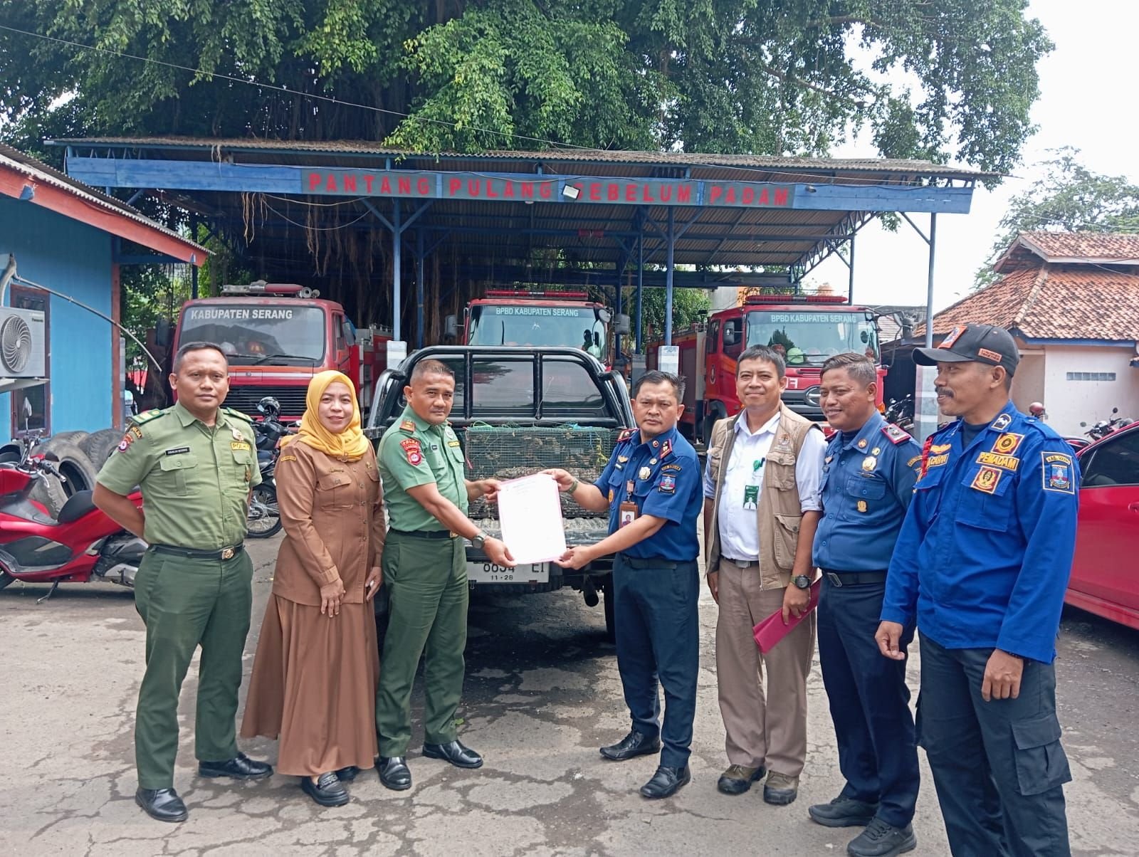 BPBD Serang Serahkan 7 Ular ke BKSDA, Termasuk King Kobra Hasil Evakuasi dari Rumah Warga 1 BPBD Serang Serahkan 7 Ular ke BKSDA, Termasuk King Kobra Hasil Evakuasi dari Rumah Warga