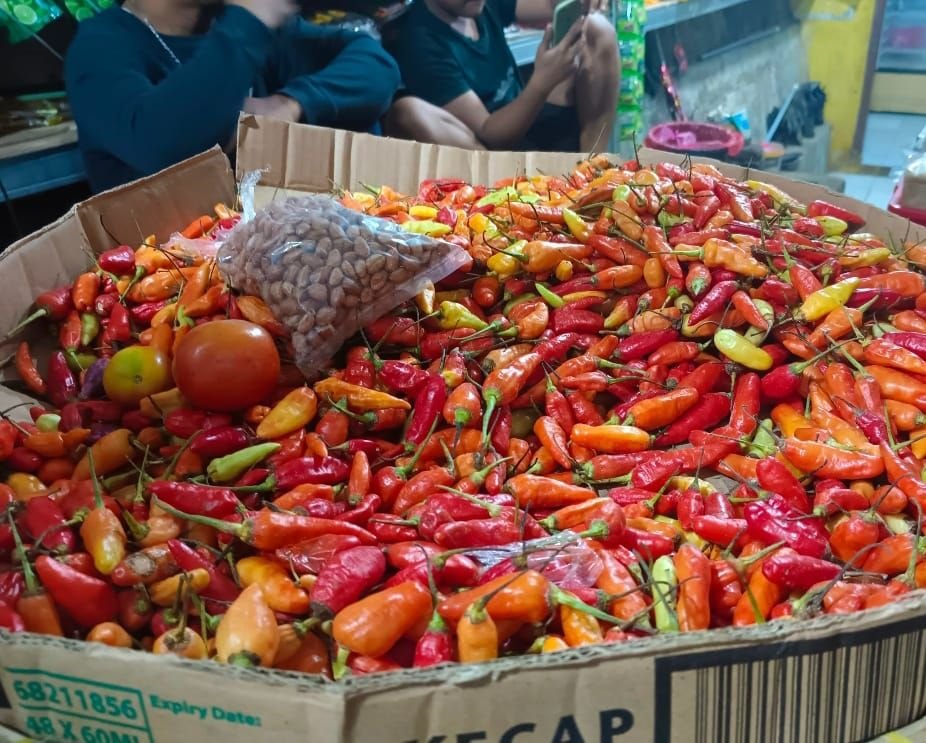 Cabai Rawit dan Daging Ayam Sumbang Inflasi Banten pada Juni 2025 1 Cabai Rawit dan Daging Ayam Sumbang Inflasi Banten pada Juni 2025