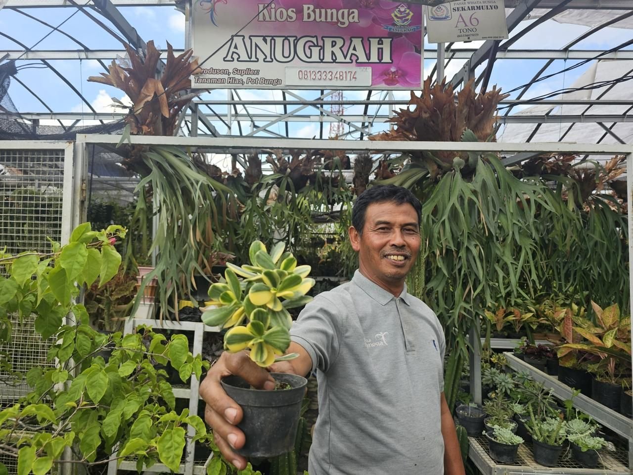 Kisah Klaster Usaha Tanaman Hias Binaan BRI di Kota Batu yang Kini Jadi Sumber Pendapatan Warga Sekitar