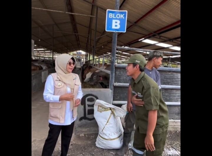 Bupati Pandeglang Dukung Warga Kembangkan Peternakan Berkualitas 2 Bupati Pandeglang Dukung Warga Kembangkan Peternakan Berkualitas