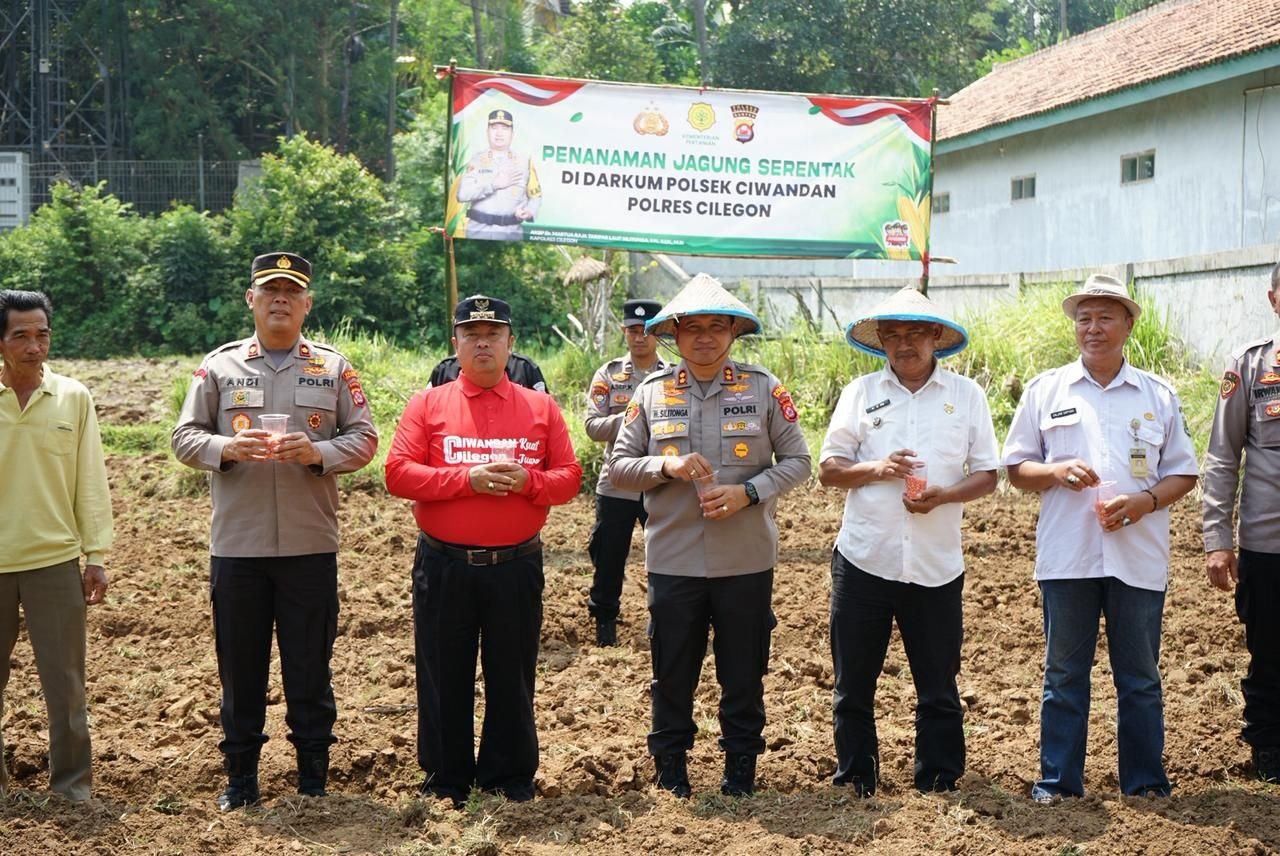 Polres Cilegon Tanam Jagung 1,5 Hektare di Ciwandan, Berharap Terwujudnya Kemandirian Pangan