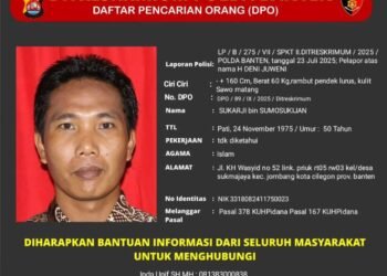 DPO kasus penipuan
