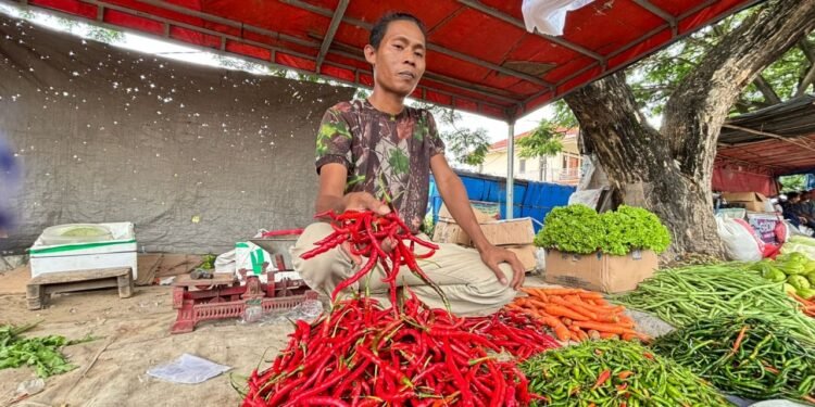 Ibu-Ibu di Kota Cilegon Ngomel, Harga Cabai Merah Keriting Tembus Rp 70 Ribu per Kg 1 harga cabai
