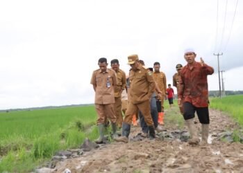 Program Bang Andra Prioritaskan Akses Pertanian, Siapkan Rp5 Miliar untuk JUT Wanasalam 1 Program Bang Andra