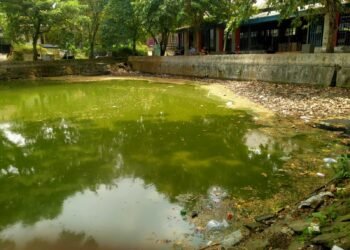 Bukan Aset Pemkab, DLH Lebak Tak Anggarkan Perawatan Balong Ranca Lentah 1 Kondisi air di Balong Ranca Lentah yang menghijau dan dipenuhi sampah. Foto diambil belum lama ini. (Aldi Setiawan/Banten Raya)