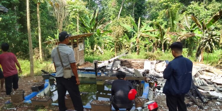 Kebakaran Hanguskan Rumah Warga Cinangka, Kerugian Rp36 Juta 1 kebakaran rumah warga Cinangka