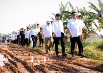 Tak Mau Omon-omon, Andra Soni Ingin Program Bang Andra Dibuat Perda 4 Gubernur Banten Andra Soni