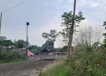 Stockpile batu bara Toyomerto