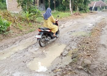 Desa Sukadaya