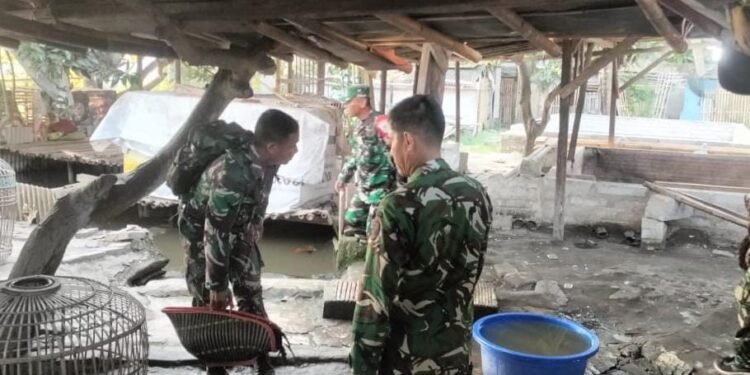 TNI Grebek Sabung Ayam di Lebak Wangi, Barang Bukti Dilepas Liarkan 1 TNI