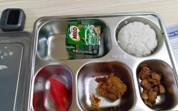 food tray